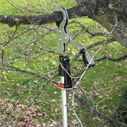 Darlac Expert Geared Anvil Tree Pruner DP1583 | Darlac Garden Tools