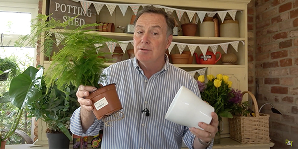 A Houseplant Care Masterclass with Pots & Trowels
